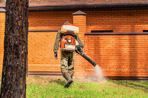 Trusted Rodent Control service in Lake Katrine, NY - Nex Pest Control